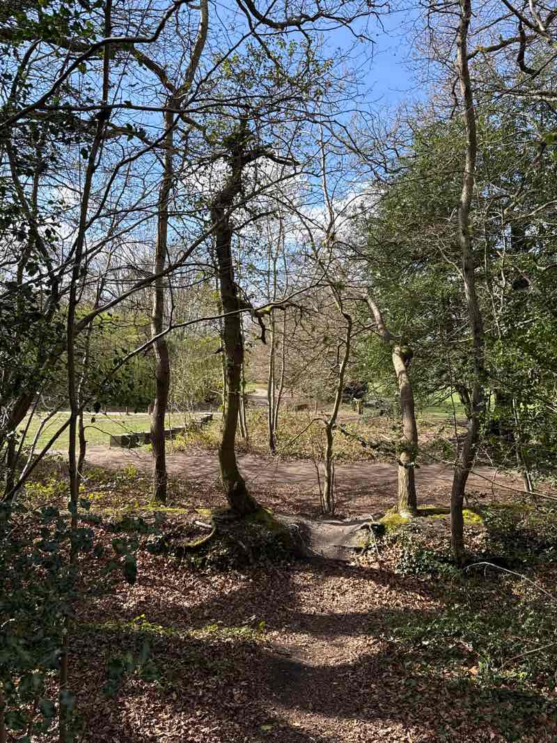 walking near me in Frimley Lodge Park in spring