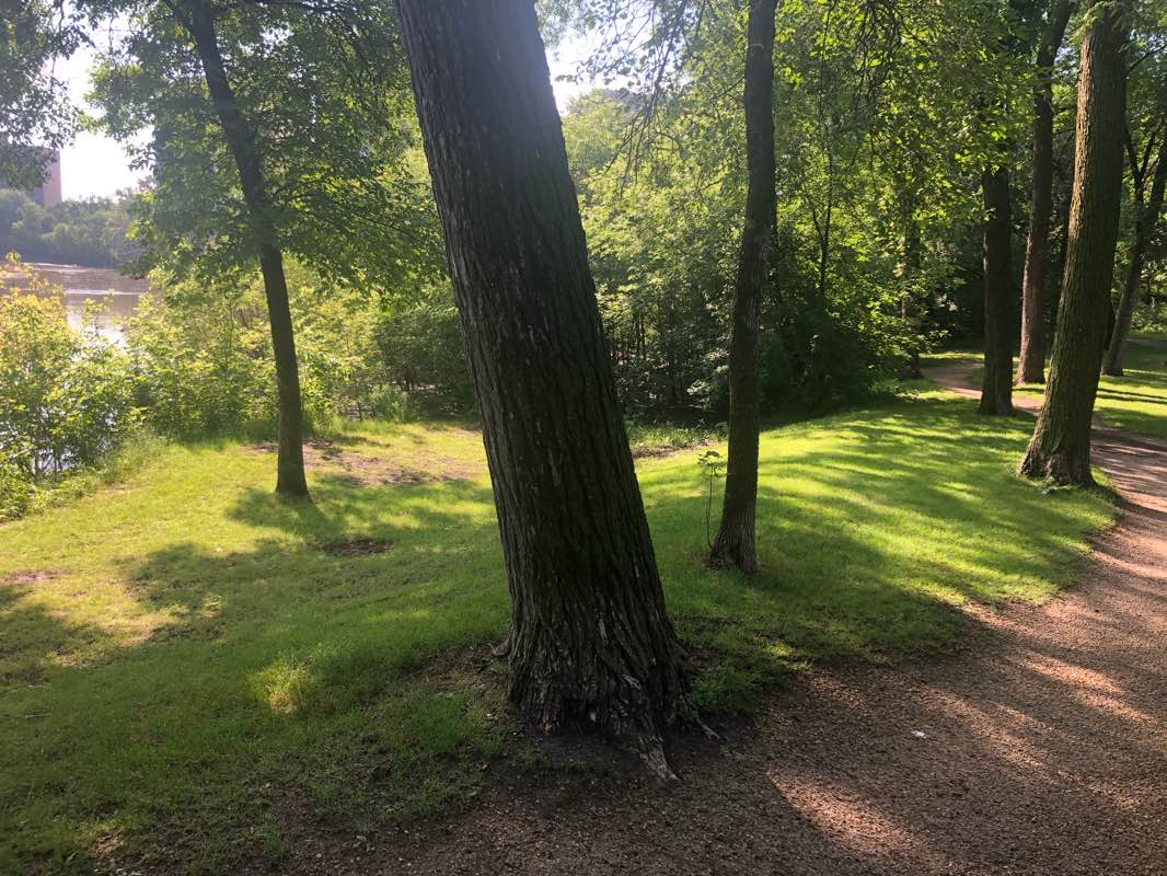 walking near me in Manitoba Legislative Grounds in winter