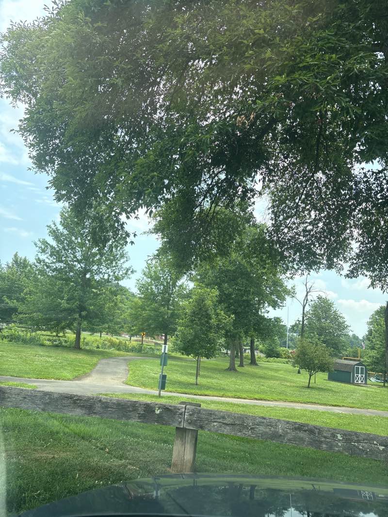 walking near me in Ridgway Park in summer