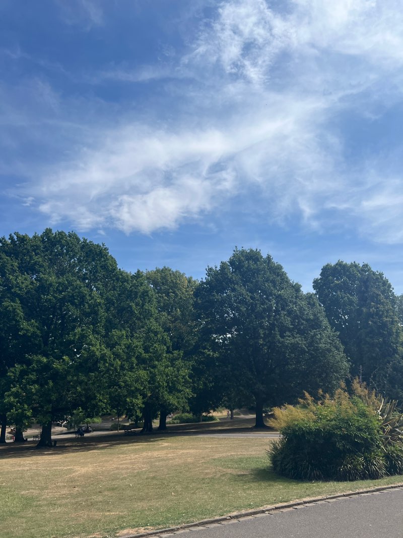 walking near me in Weston Park in summer
