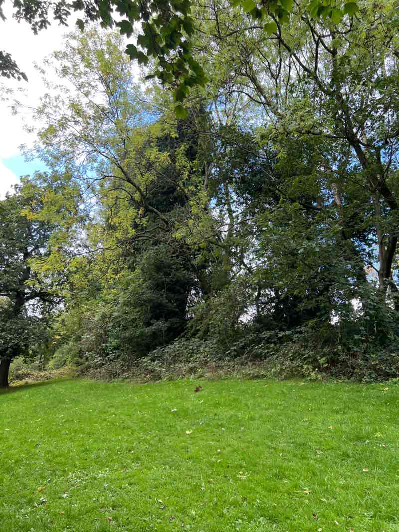 walking near me in Rivelin Park in autumn