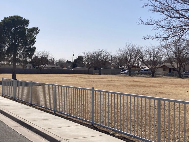 walking near me in Hall Addition Park in winter