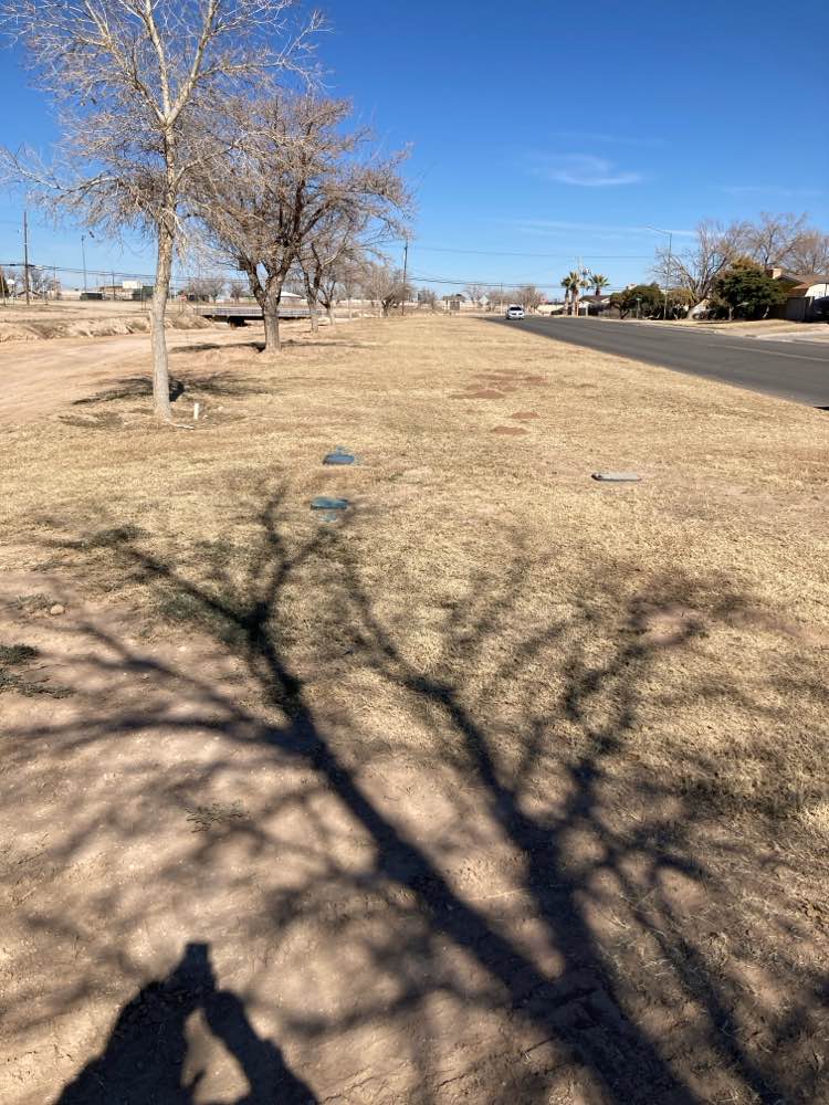 walking near me in Lamont Street Park in winter