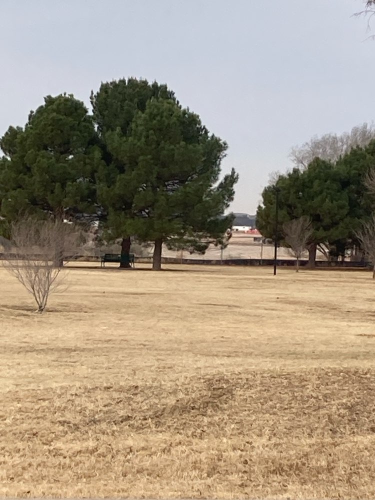 walking near me in Grasslands Park in winter