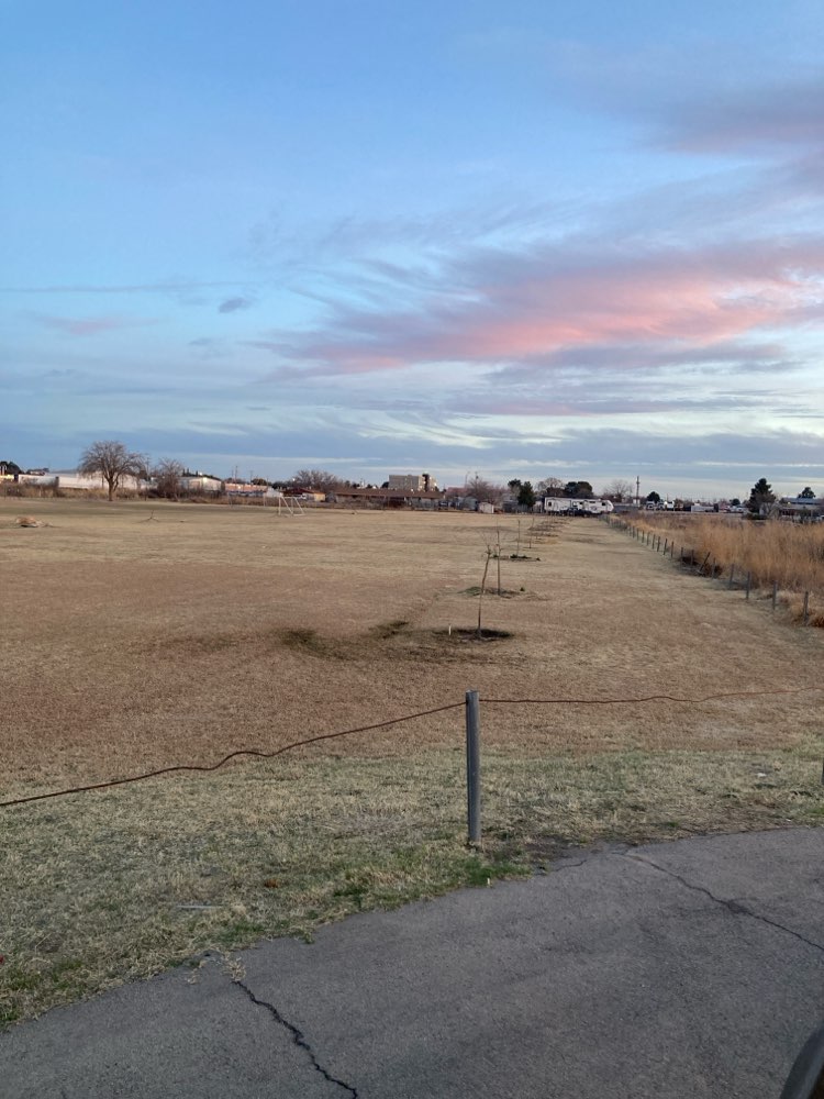 walking near me in Davis Park in winter