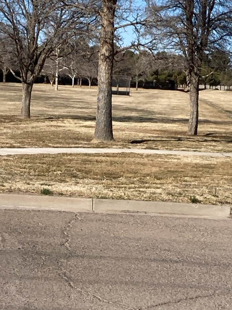 walking near me in Delta West Park in winter