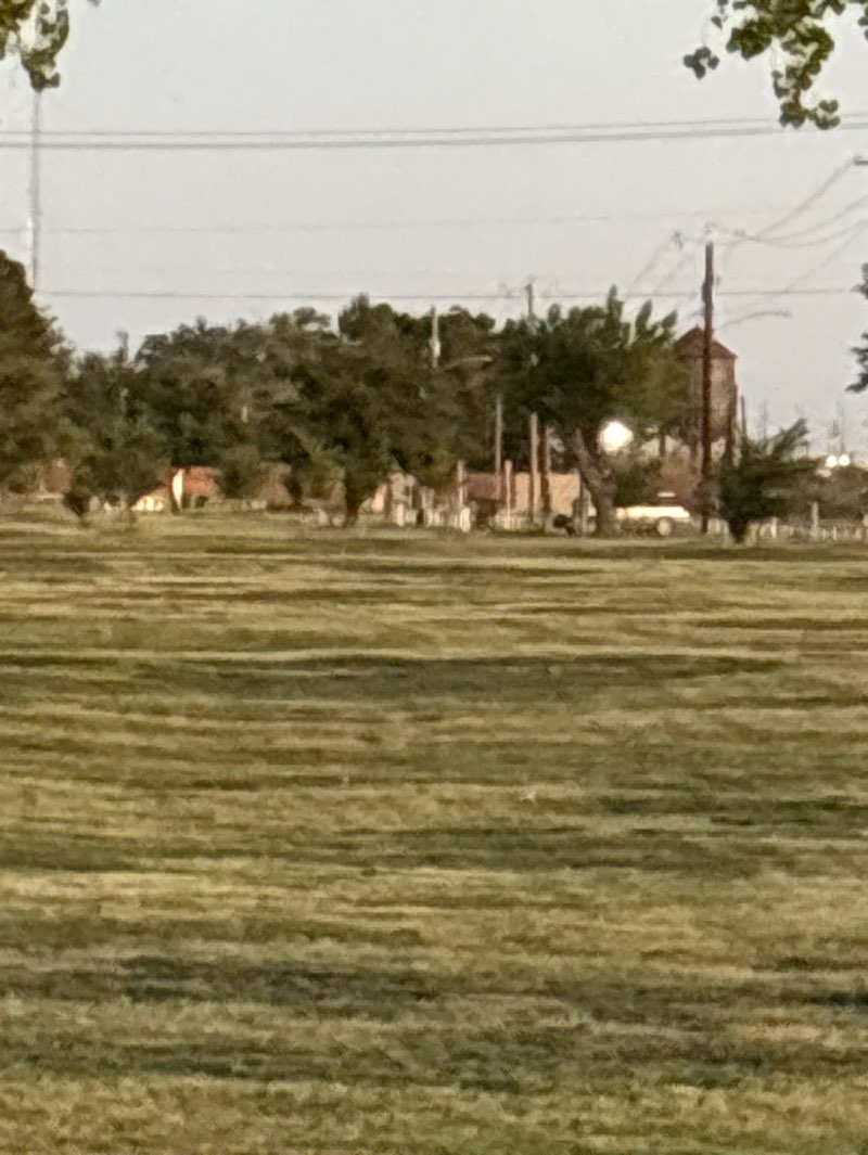walking near me in Alameda Park in summer