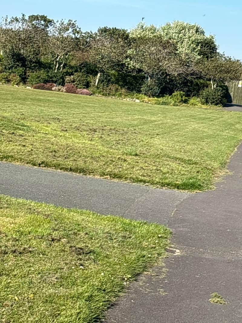 walking near me in Kings Gardens in spring