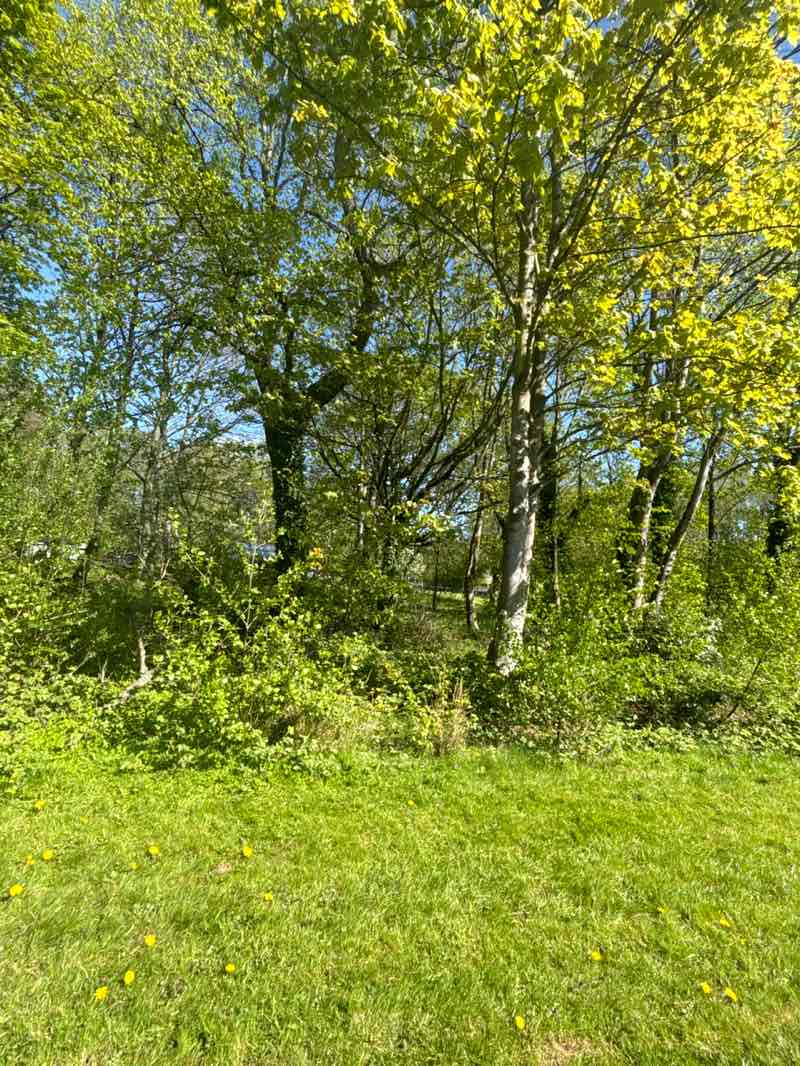 walking near me in Walmesley Park in spring