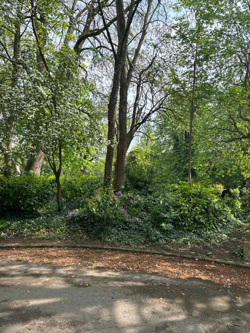 walking near me in Mesnes Park in spring