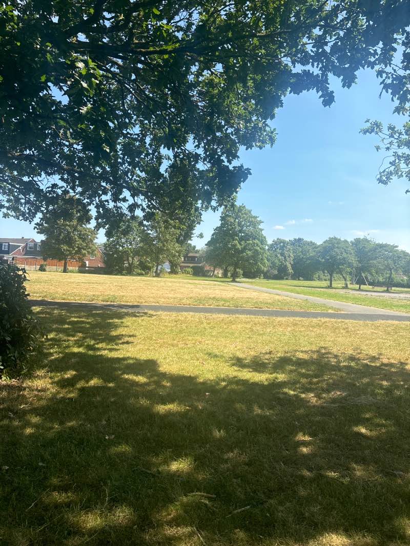walking near me in Abram Park in summer