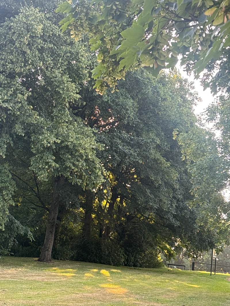 walking near me in Walmesley Park in summer