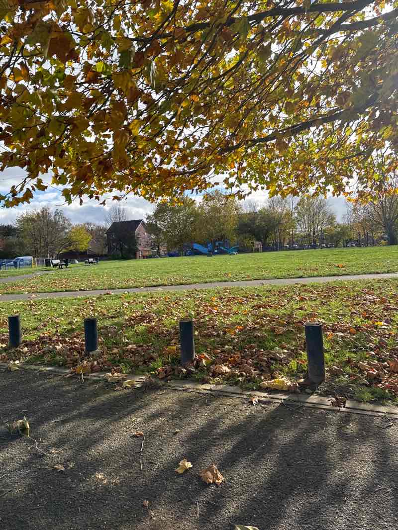 walking near me in Lismore Park in autumn