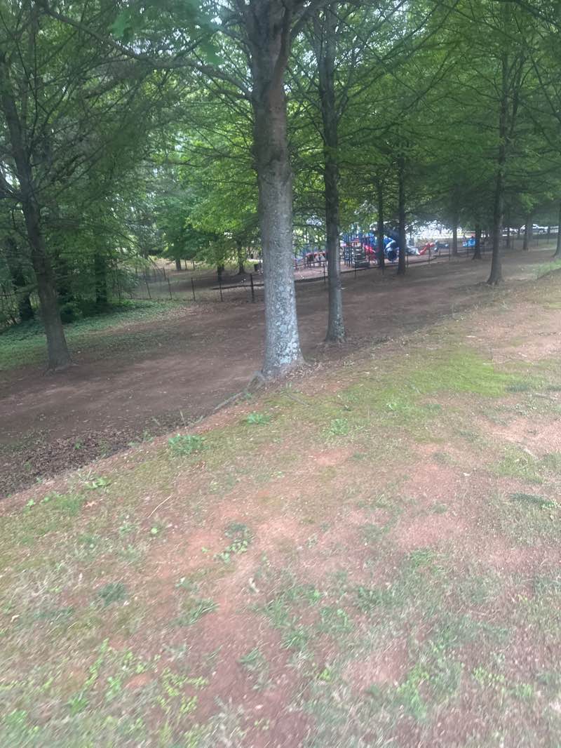 walking near me in Terrell Mill Park in spring