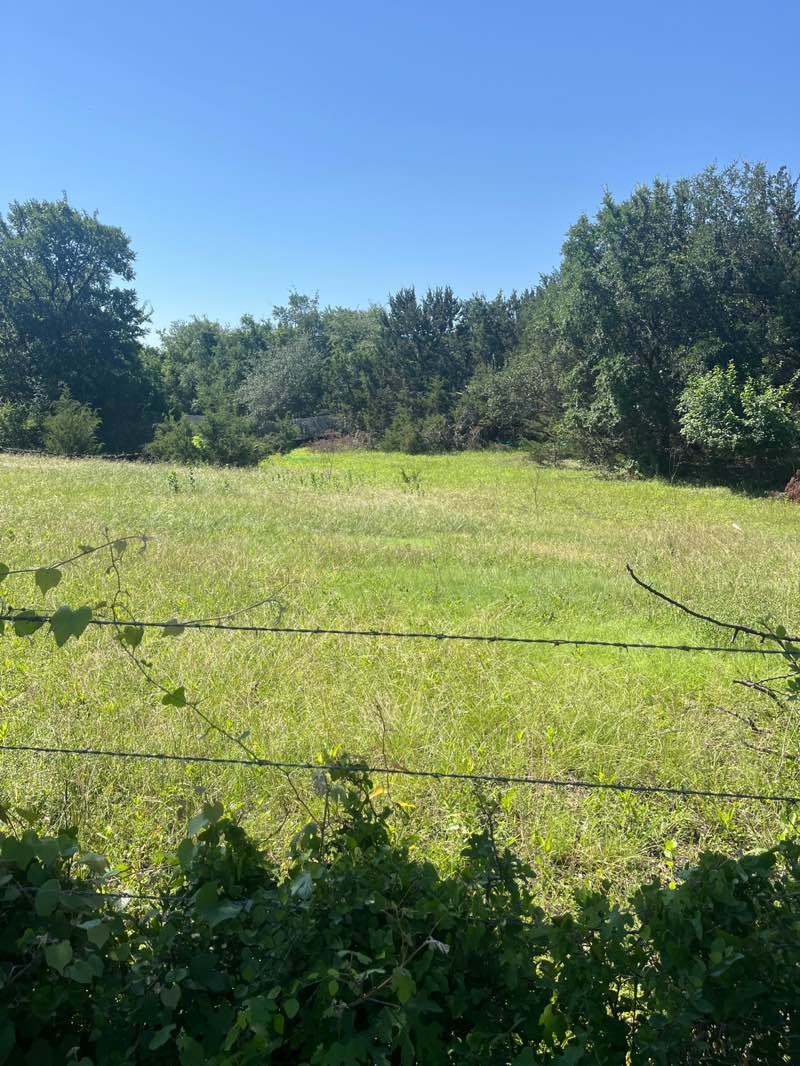walking near me in El Chaparral in spring