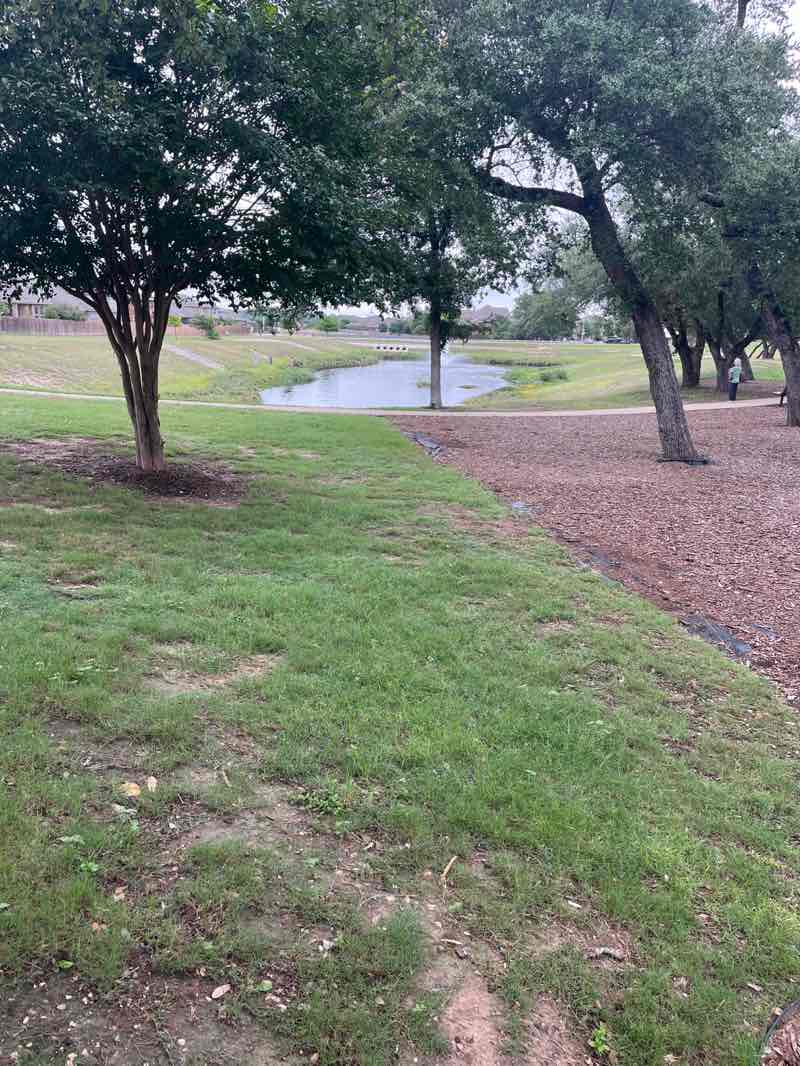 walking near me in Mason Hills in summer