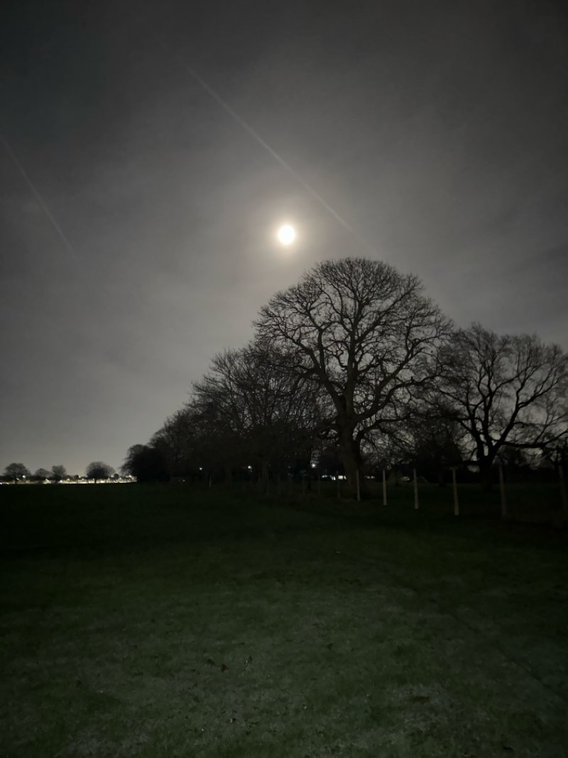 walking near me in Goresbrook Park in winter