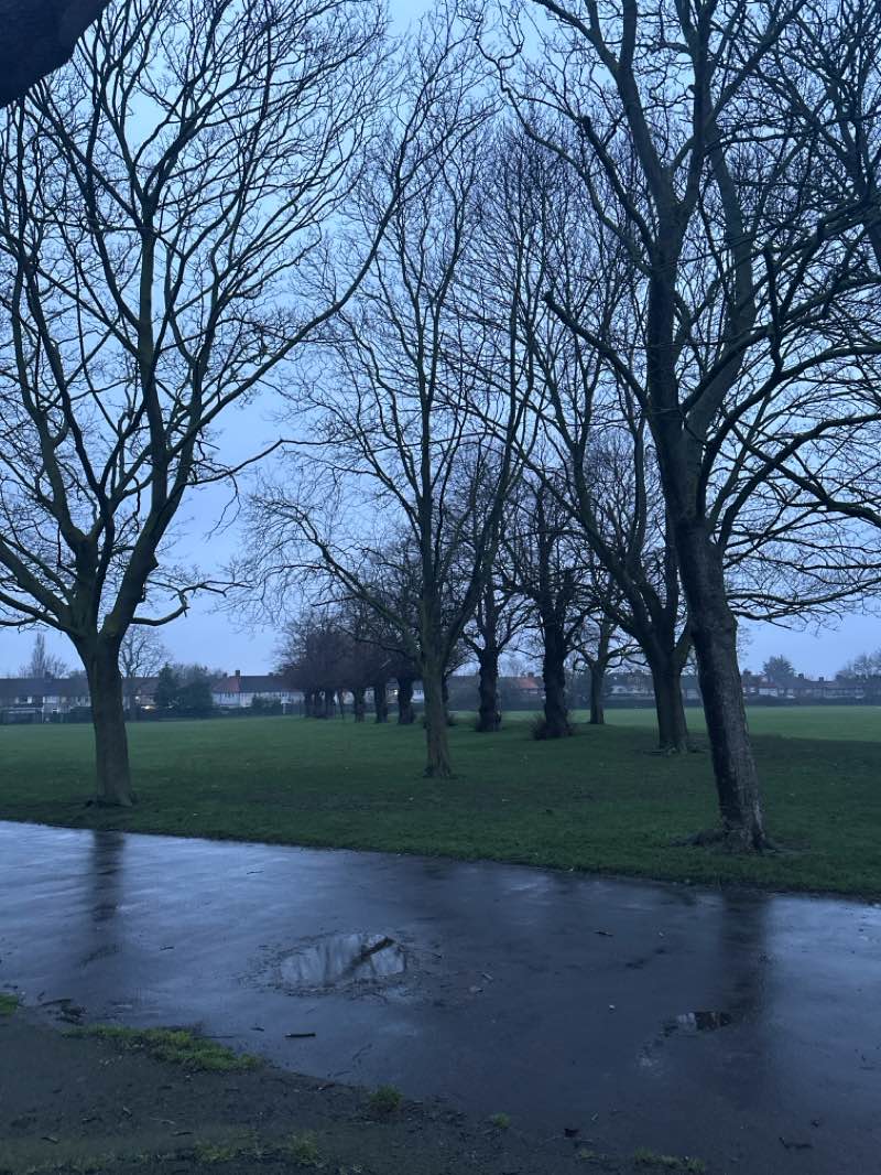 walking near me in Valence Park in winter
