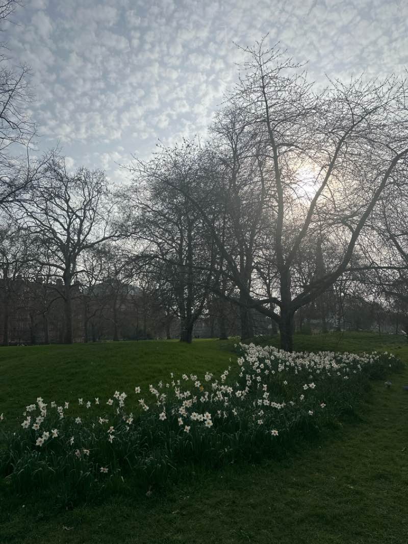 walking near me in Hyde Park in spring