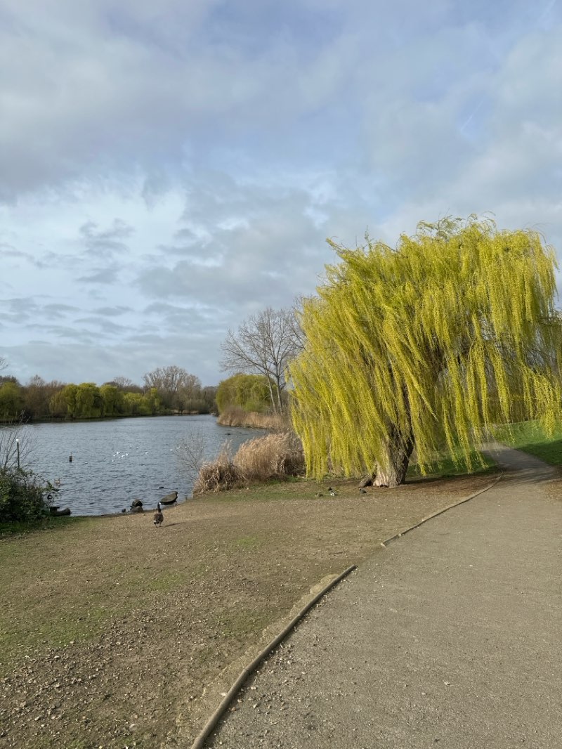 walking near me in Goresbrook Park in spring