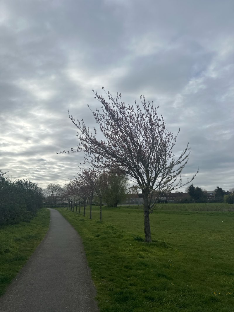 walking near me in Goresbrook Park in spring