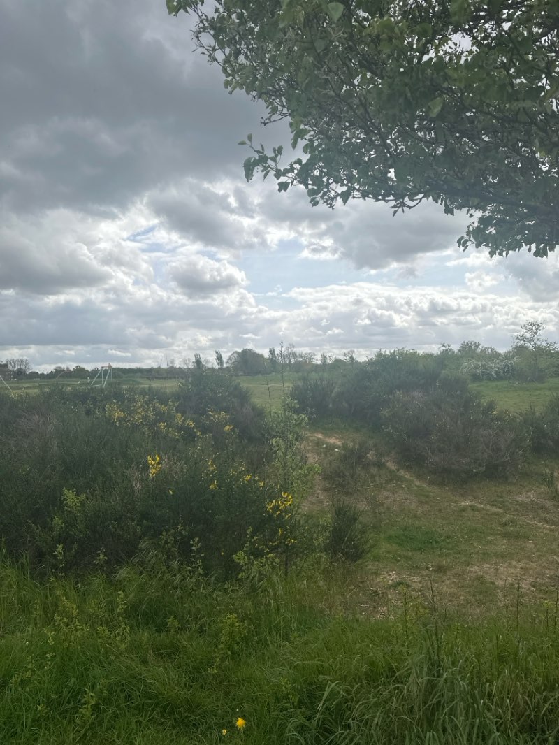 walking near me in Mayesbrook Park in spring
