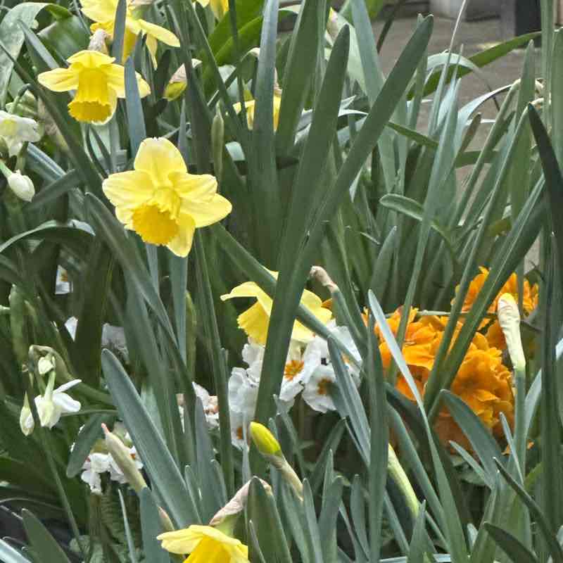 Jovita Vaitkute post 3