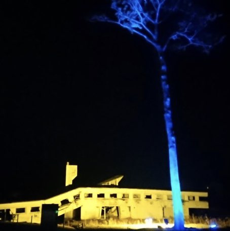 びっき🐸🇺🇦 profile