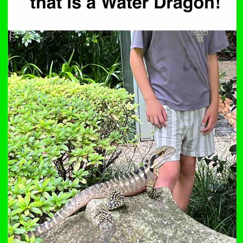 Spacetime 1946. No es nada o algo. post 1