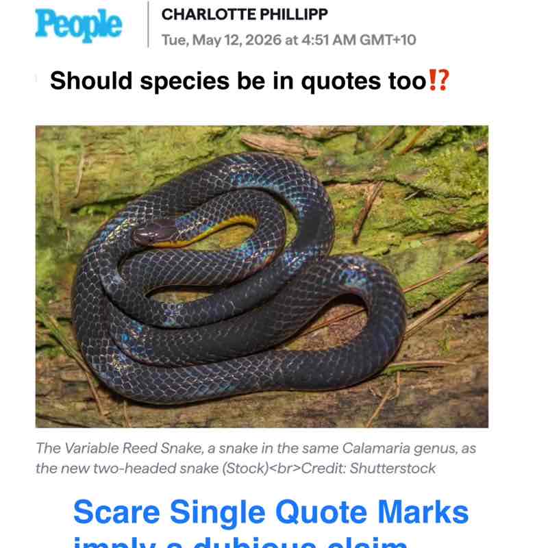 Spacetime 46. post 1
