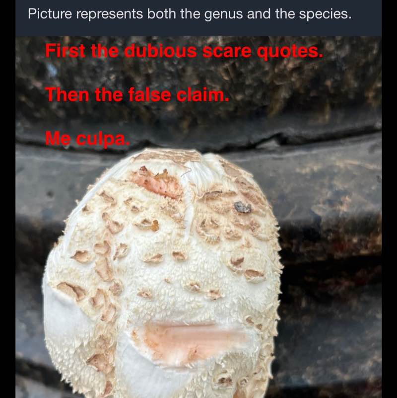 Spacetime 46. post 2