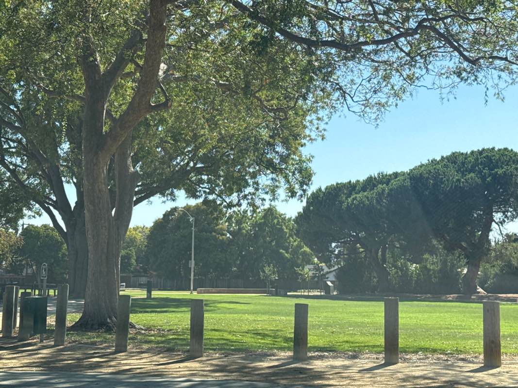 walking near me in Henry W. Seale Park in autumn