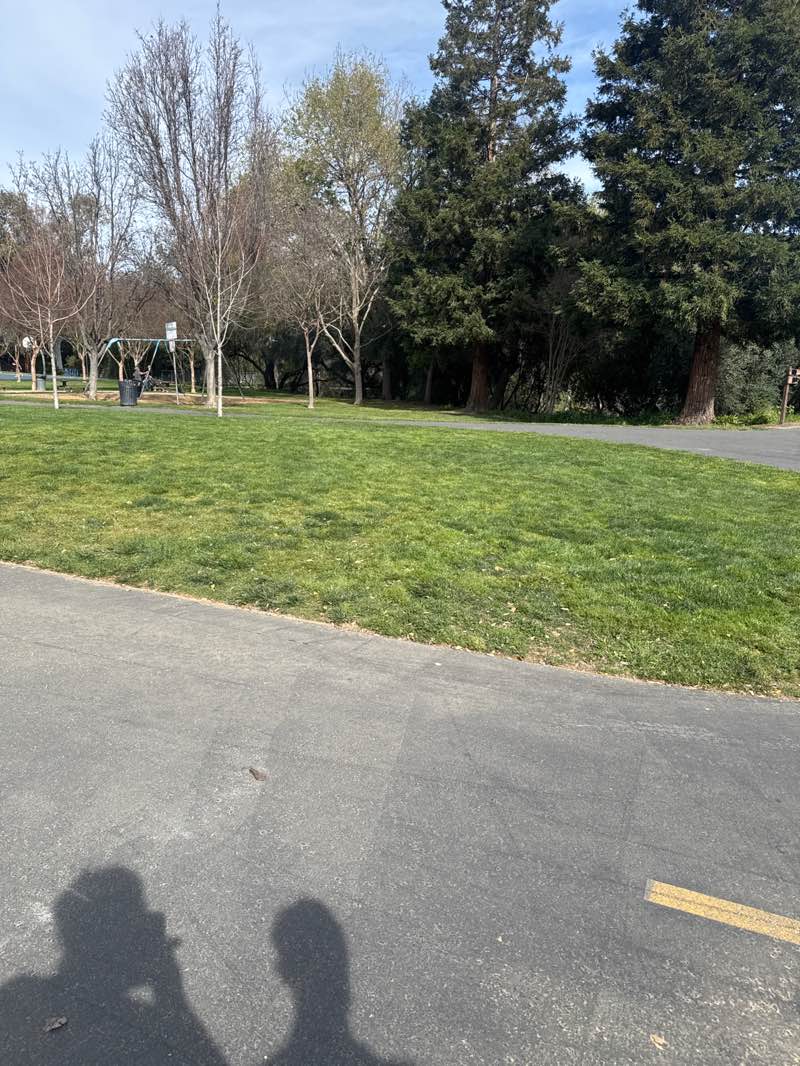 walking near me in Campbell Park in spring