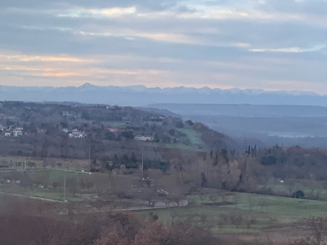 walking near me in Jardin des Plantes in winter