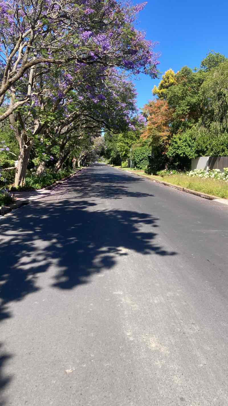 walking near me in Die Boord Park in summer