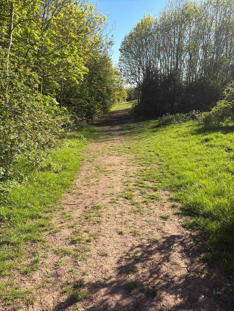 walking near me in Worcester Woods Country Park in spring