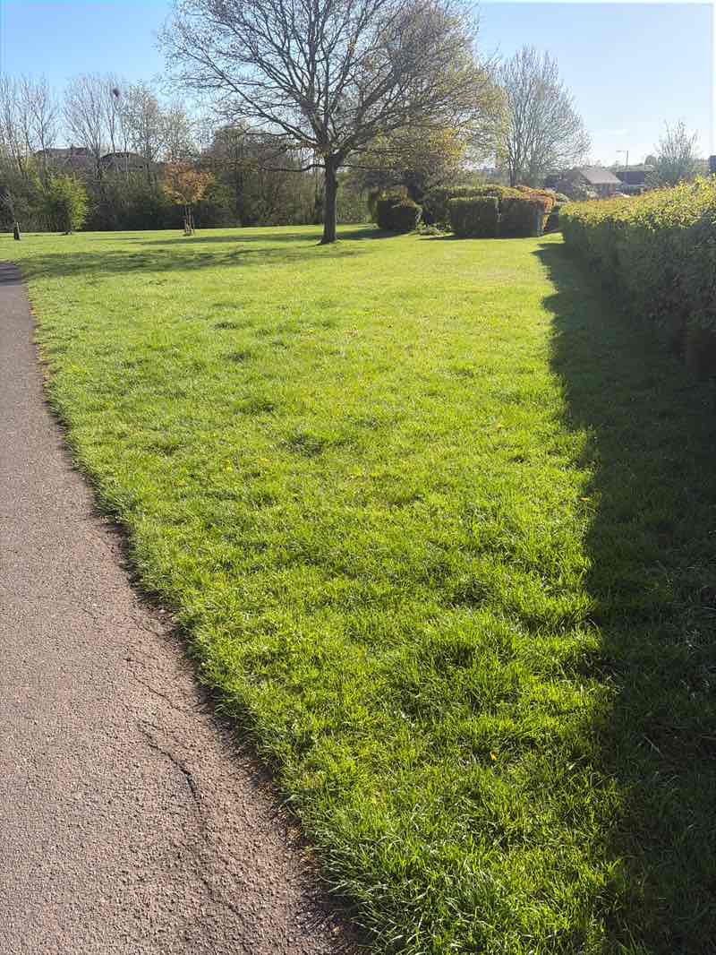 walking near me in Addyes Way Open Space in spring