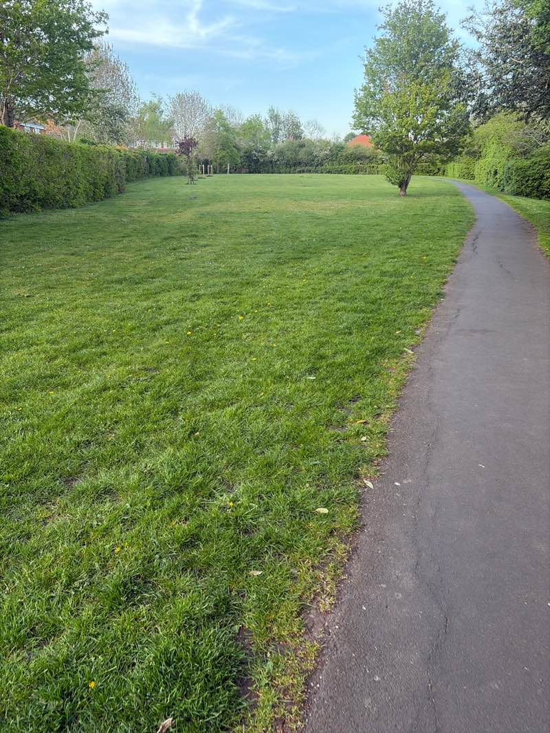 walking near me in Bowden Green Open Space in spring