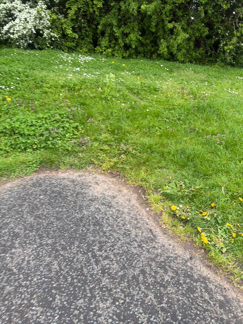 walking near me in Rushwick Park in spring