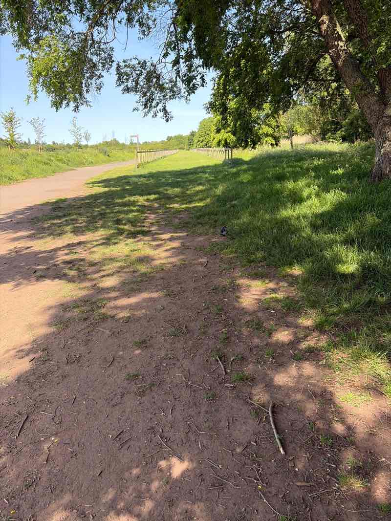 walking near me in Perdiswell Park in summer