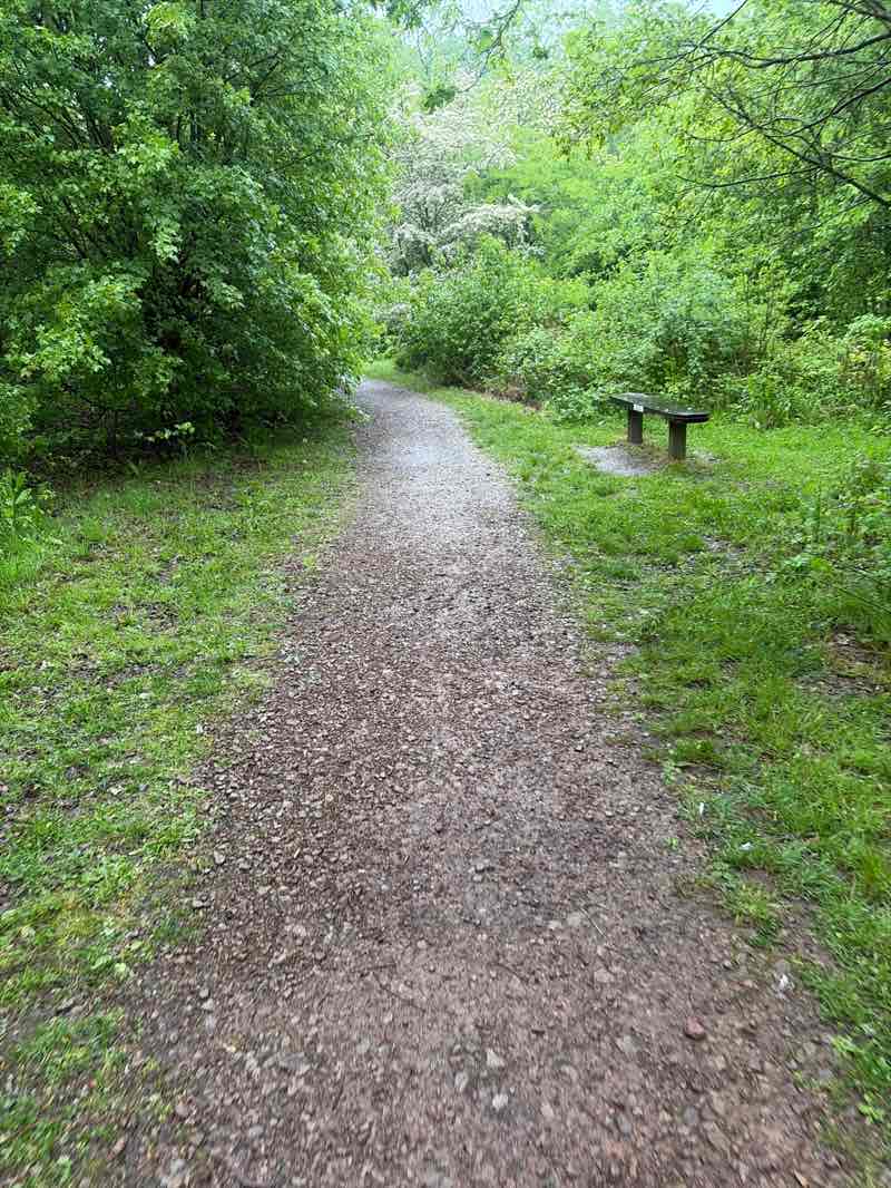 walking near me in Townsend Community Woodland in spring
