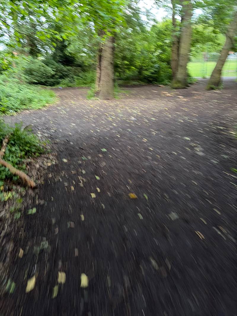 walking near me in Worcester Woods Country Park in summer