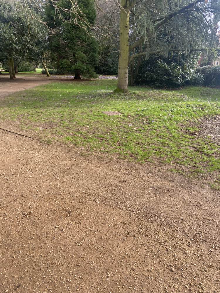 walking near me in Albert Park in winter