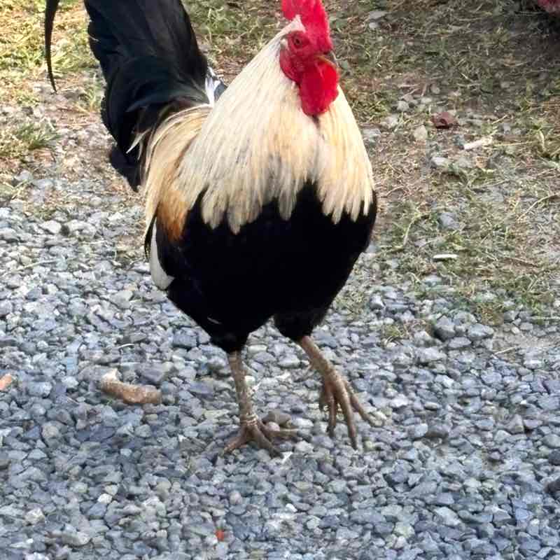 stuartwilliams811 post 1