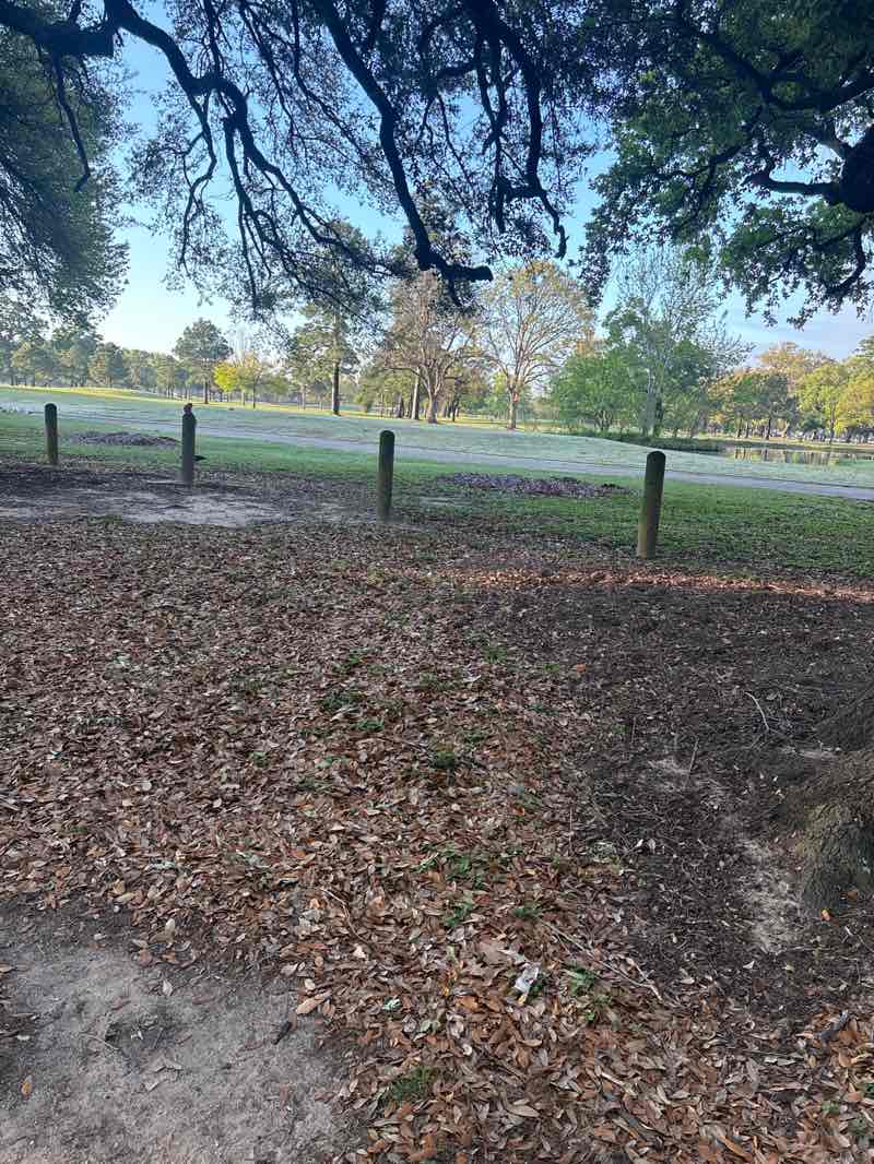 walking near me in Hermann Park in spring