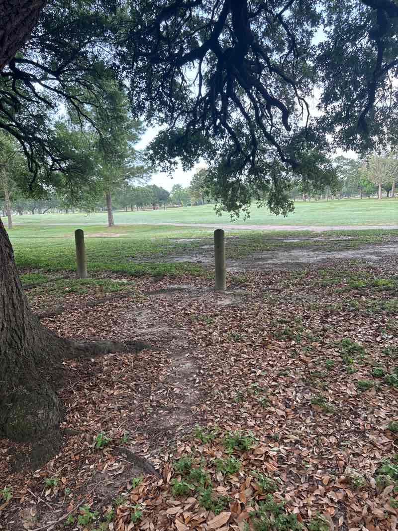 walking near me in Hermann Park in spring