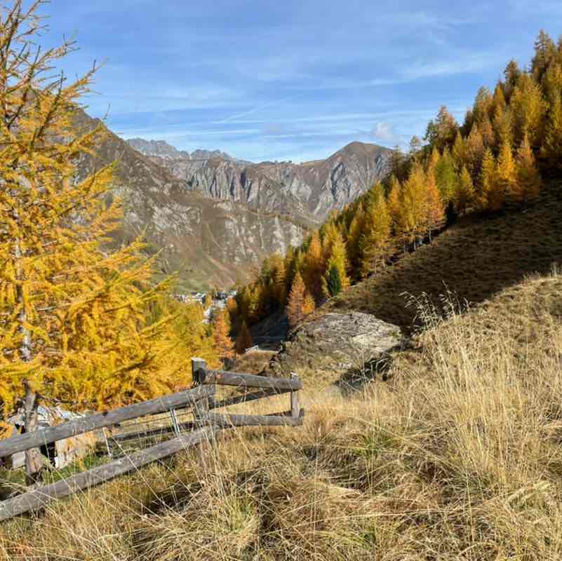 🇨🇭Hoschi post 2