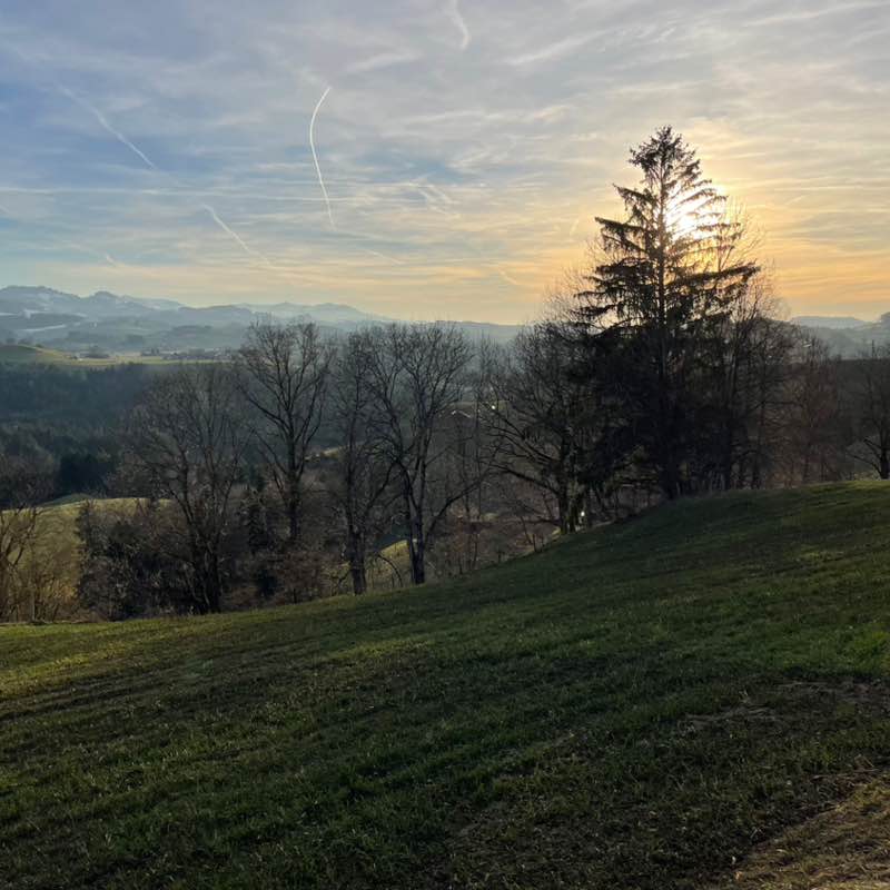 🇨🇭Hoschi post 2