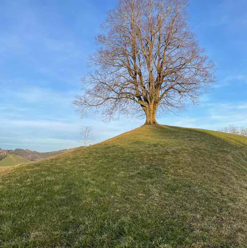 🇨🇭Hoschi post 3