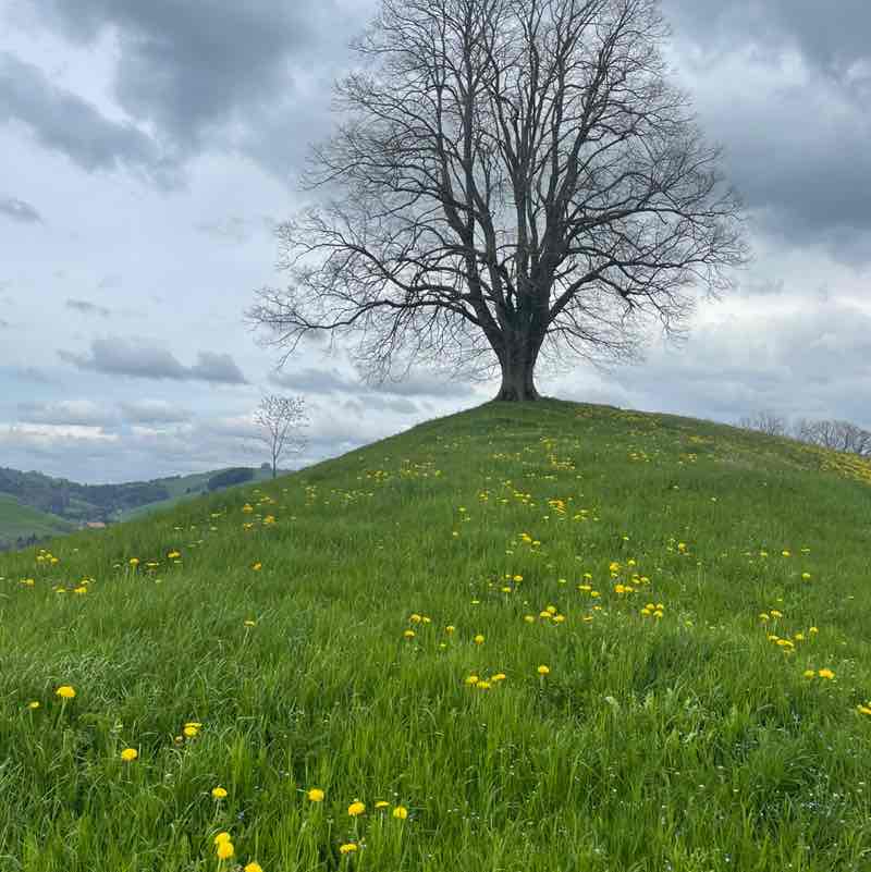 🇨🇭Hoschi post 2